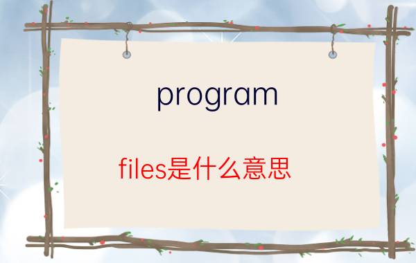 program files是什么意思